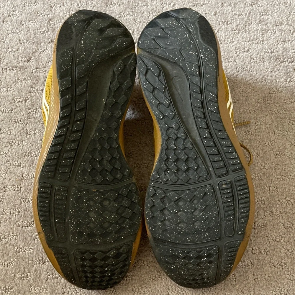 Nike Pegasus 40 Bronzine running sneakers, Sz 10.